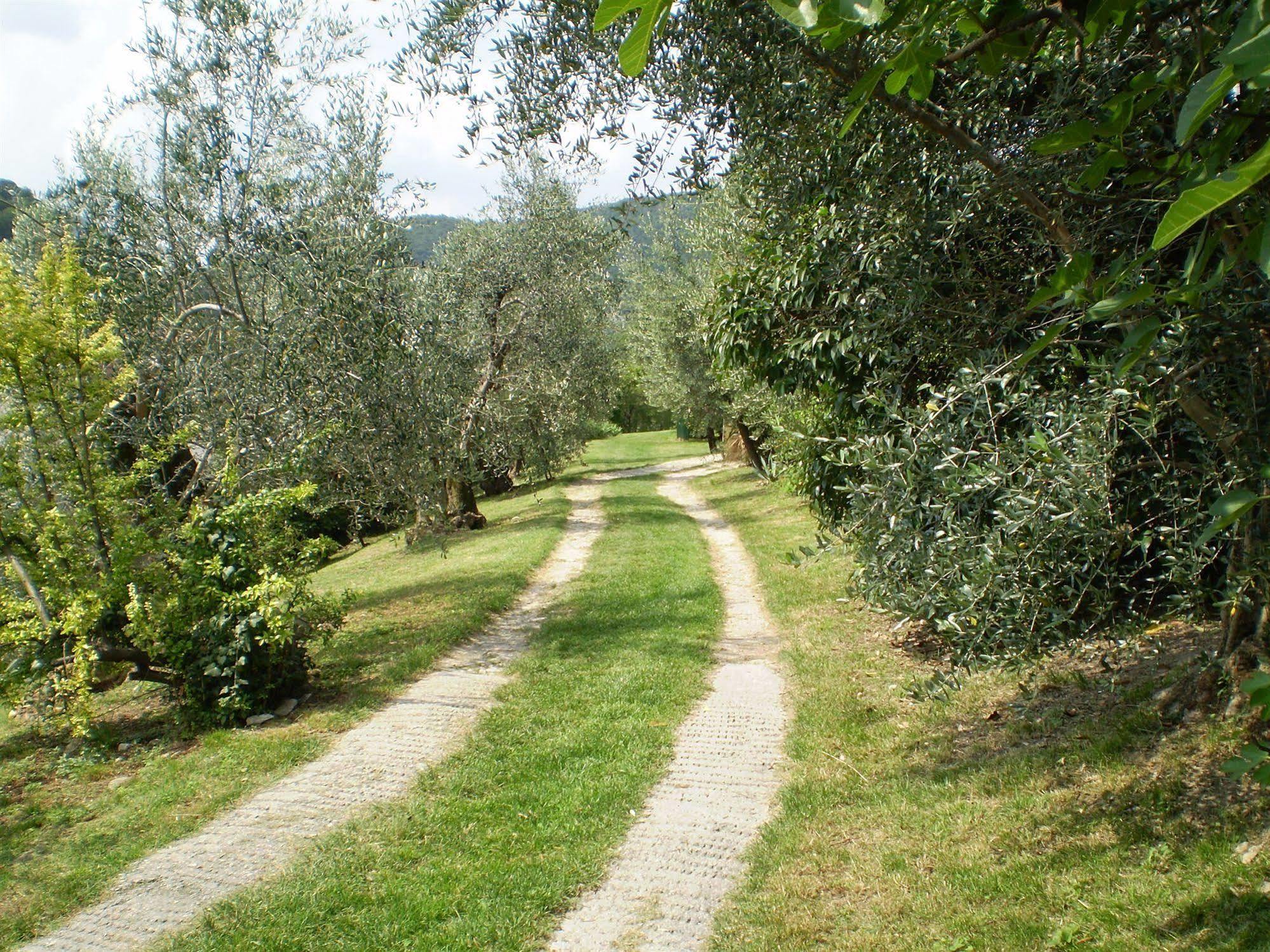 Agriturismo Renzano garden apartments Saló Exterior foto